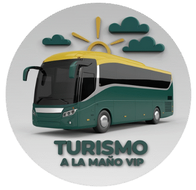 turismoalamanovip.com